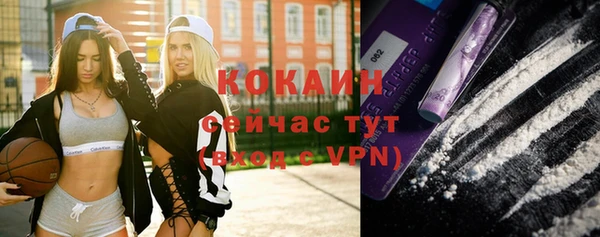 mdpv Няндома