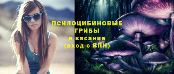 mdpv Няндома